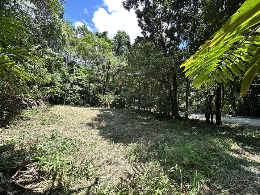 Rare Elevated 1.48ha Rainforest Acreage Privacy, Access & Location