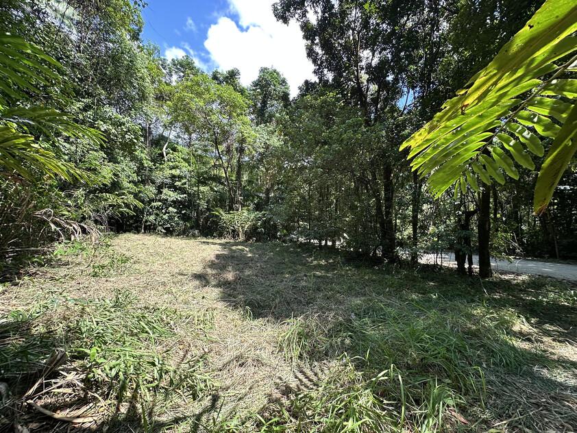 Rare Elevated 1.48ha Rainforest Acreage Privacy, Access & Location