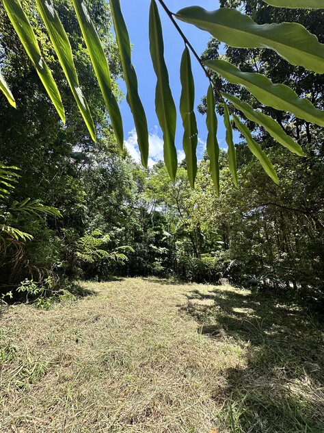 Rare Elevated 1.48ha Rainforest Acreage Privacy, Access & Location