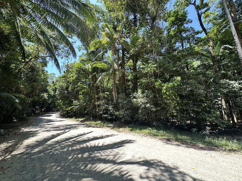 Rare Elevated 1.48ha Rainforest Acreage Privacy, Access & Location