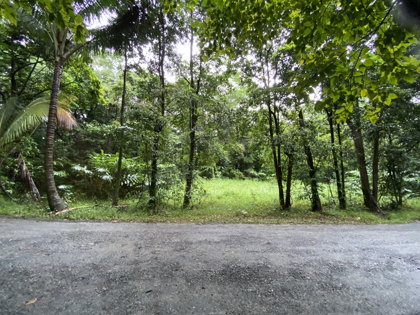Rare Elevated 1.48ha Rainforest Acreage Privacy, Access & Location