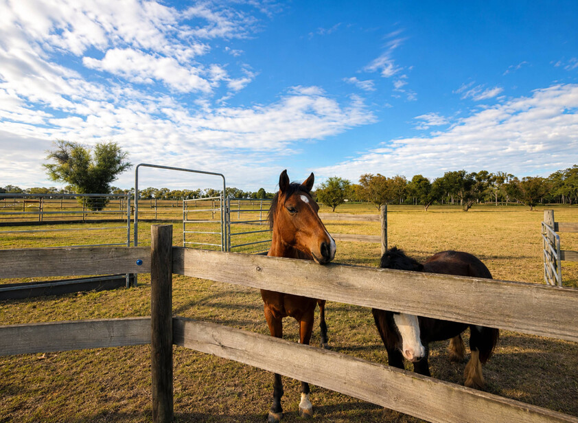 Ideal Horse Property on 31 Acres Close to Kingaroy with Excellent Infrastructure
