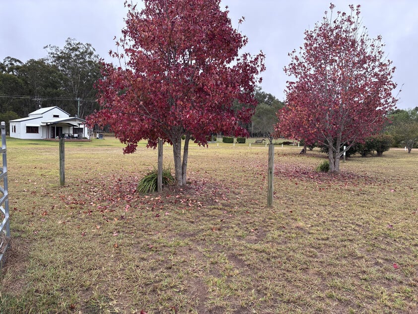 Ideal Horse Property on 31 Acres Close to Kingaroy with Excellent Infrastructure