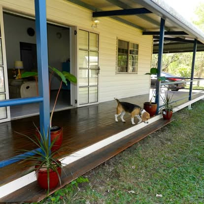 Self-Contained Granny Flat on Shared Rural Property