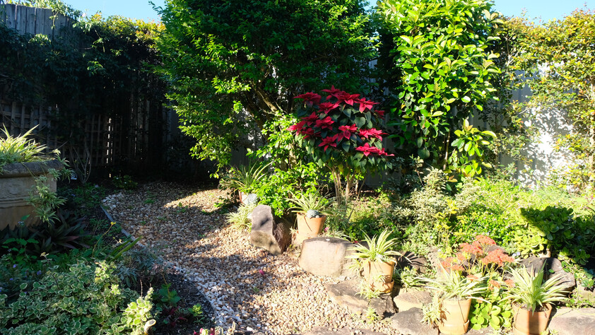 Exceptional value, family living opposite parkland in a desirable Buderim location