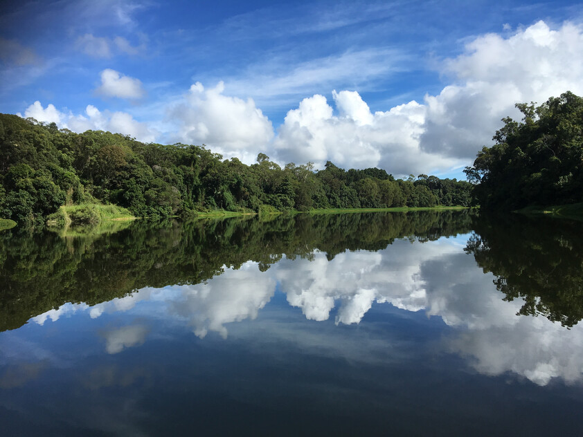 The closest Wet Tropics World Heritage river-based experience to Cairns