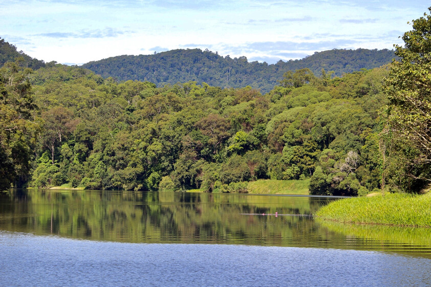 The closest Wet Tropics World Heritage river-based experience to Cairns