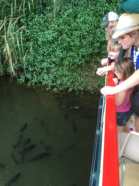 The closest Wet Tropics World Heritage river-based experience to Cairns