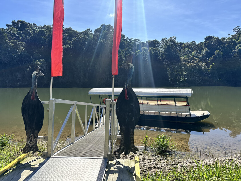 The closest Wet Tropics World Heritage river-based experience to Cairns
