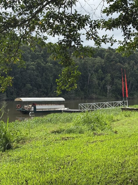 The closest Wet Tropics World Heritage river-based experience to Cairns
