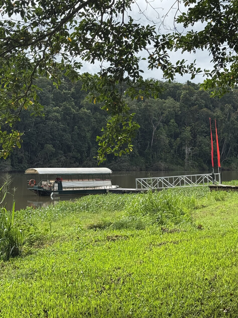 The closest Wet Tropics World Heritage river-based experience to Cairns