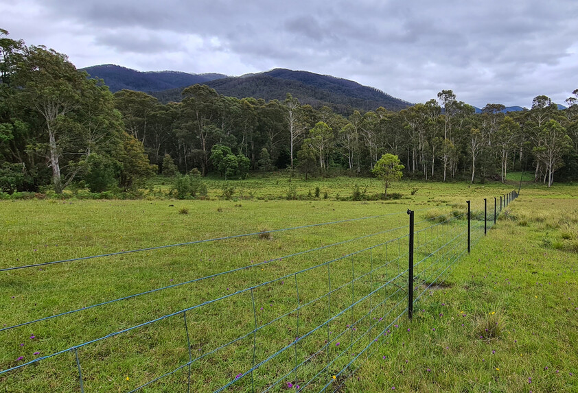 Charming and Versatile Bemboka Country Acreage