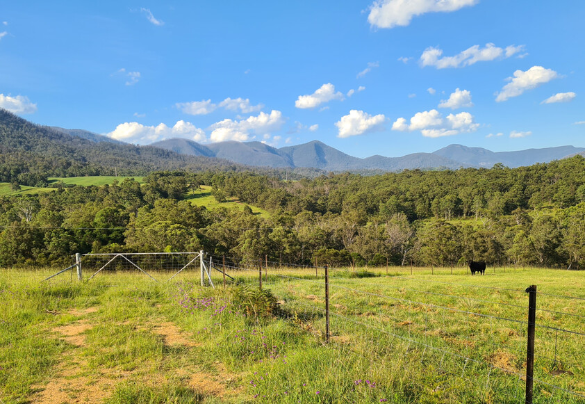 Charming and Versatile Bemboka Country Acreage