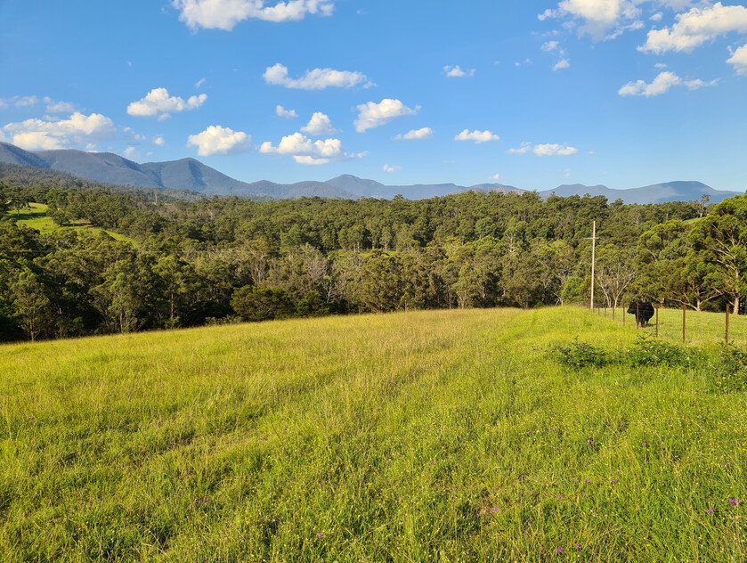Charming and Versatile Bemboka Country Acreage