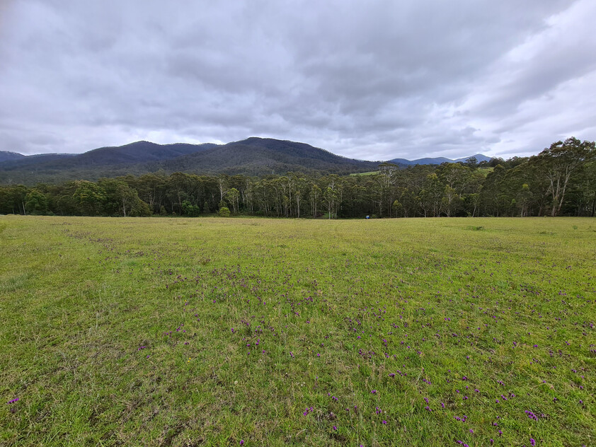 Charming and Versatile Bemboka Country Acreage