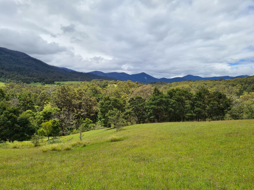 Charming and Versatile Bemboka Country Acreage