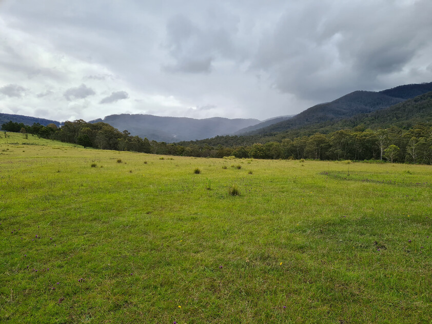 Charming and Versatile Bemboka Country Acreage