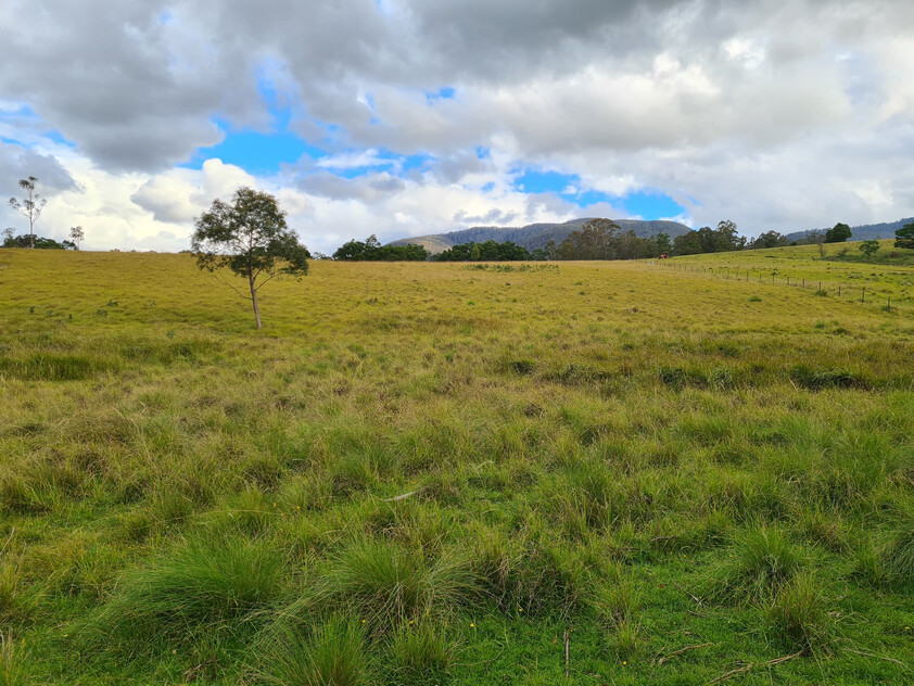 Charming and Versatile Bemboka Country Acreage