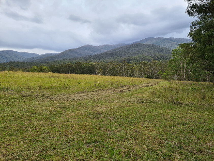 Charming and Versatile Bemboka Country Acreage