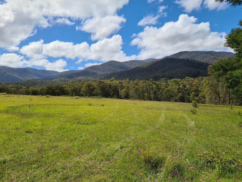Charming and Versatile Bemboka Country Acreage