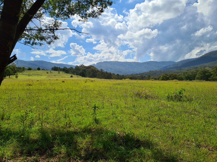 Charming and Versatile Bemboka Country Acreage
