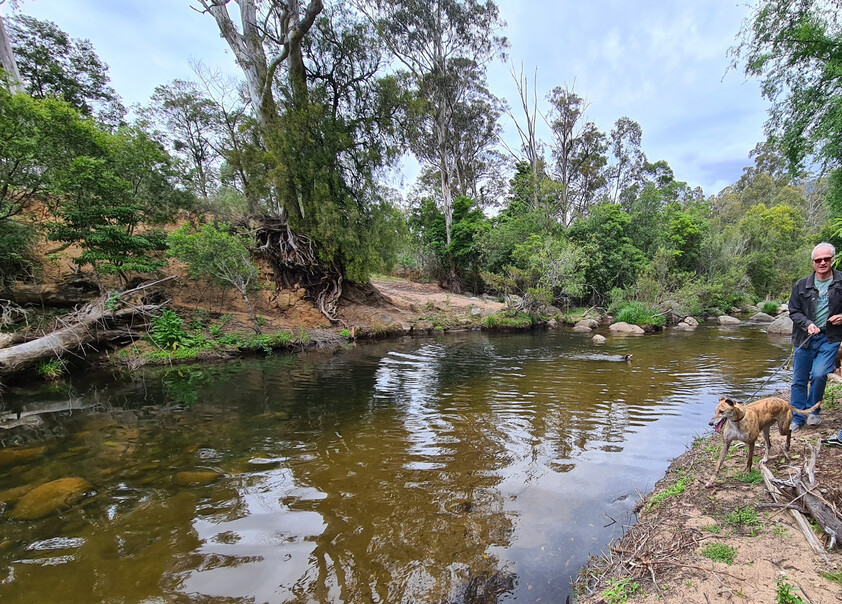 Charming and Versatile Bemboka Country Acreage