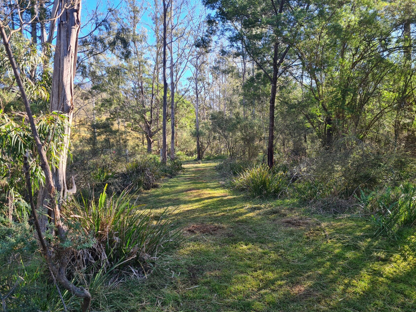 Charming and Versatile Bemboka Country Acreage