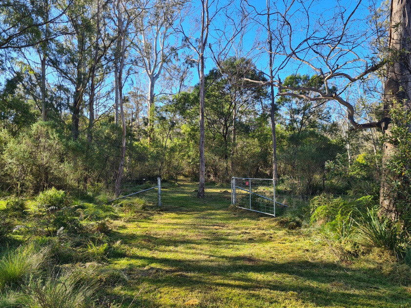 Charming and Versatile Bemboka Country Acreage