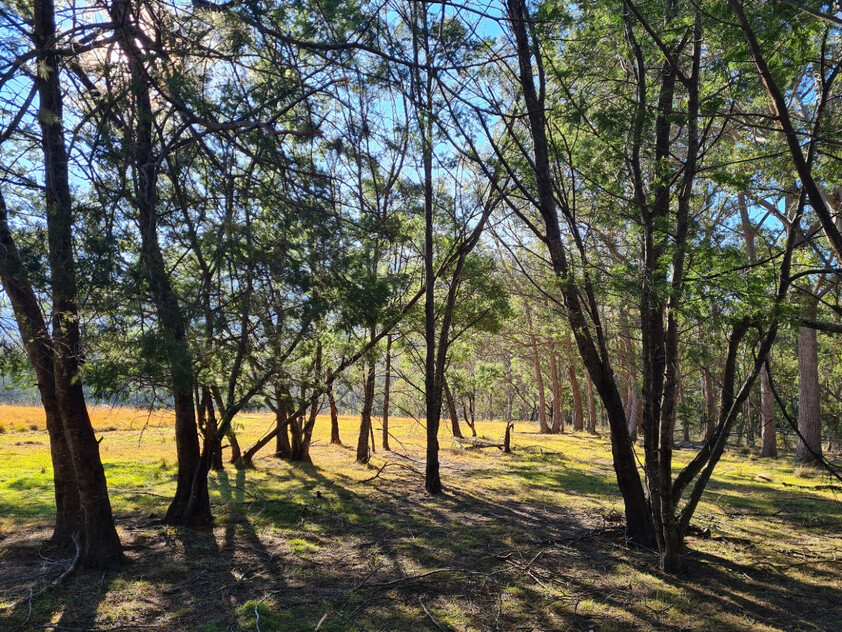 Charming and Versatile Bemboka Country Acreage