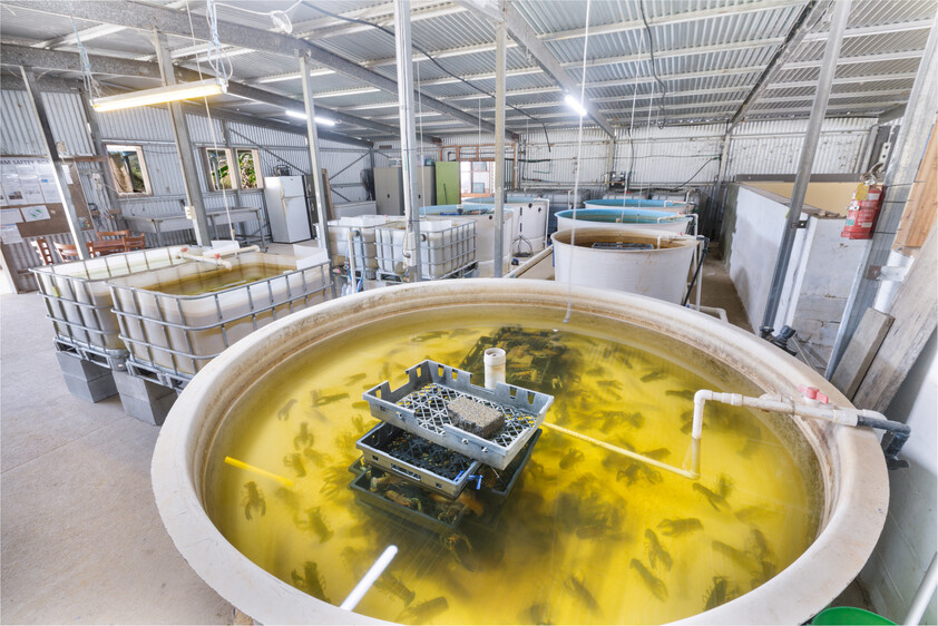 Certified Sustainable Aquaculture Farm & Business 12 Hectares, 206 Species Licence, Water Security, Solar and Expansion Potential