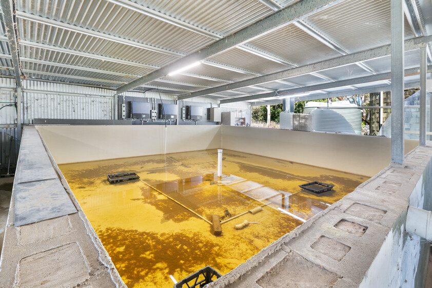 Certified Sustainable Aquaculture Farm & Business 12 Hectares, 206 Species Licence, Water Security, Solar and Expansion Potential