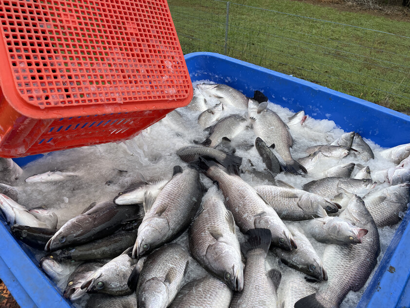 Certified Sustainable Aquaculture Farm & Business 12 Hectares, 206 Species Licence, Water Security, Solar and Expansion Potential