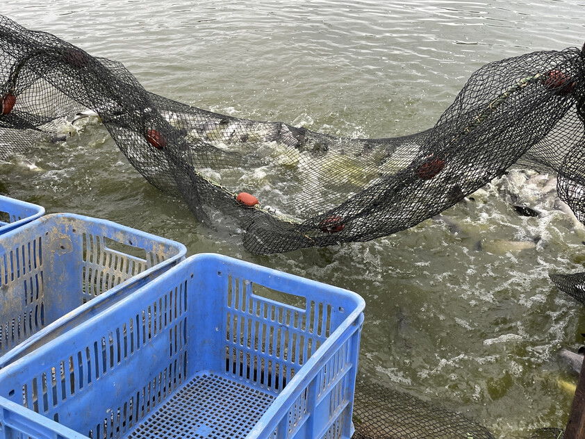 Certified Sustainable Aquaculture Farm & Business 12 Hectares, 206 Species Licence, Water Security, Solar and Expansion Potential