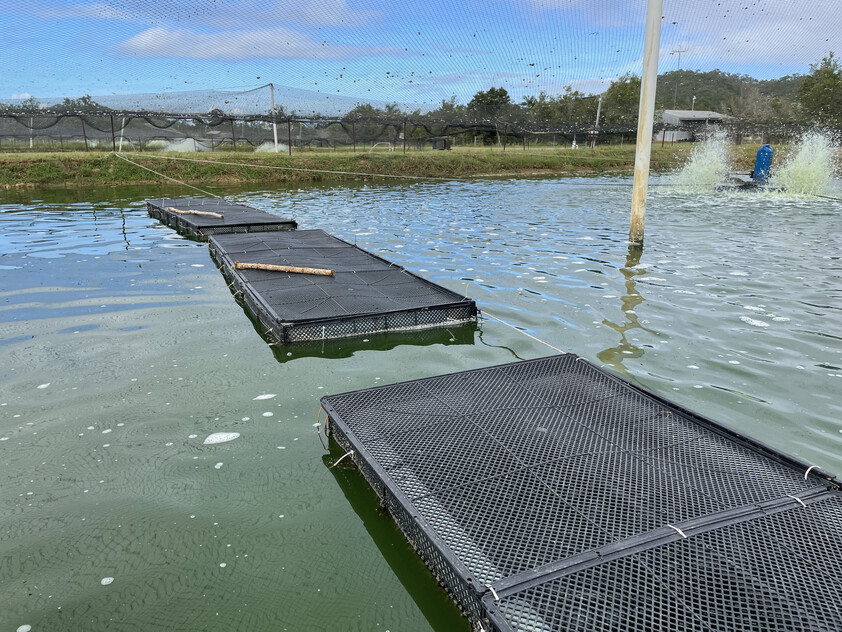 Certified Sustainable Aquaculture Farm & Business 12 Hectares, 206 Species Licence, Water Security, Solar and Expansion Potential