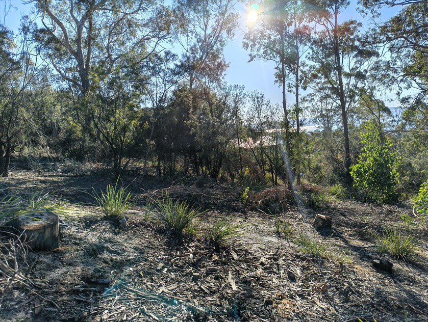 975m² of quiet cul-de-sac privacy with Derwent River views in Taroona