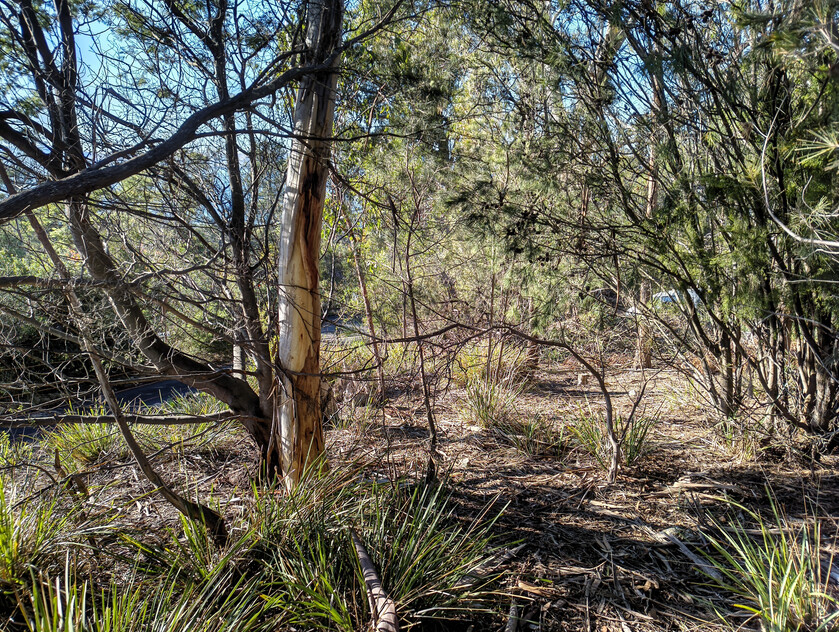 975m² of quiet cul-de-sac privacy with Derwent River views in Taroona