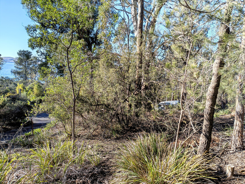 975m² of quiet cul-de-sac privacy with Derwent River views in Taroona