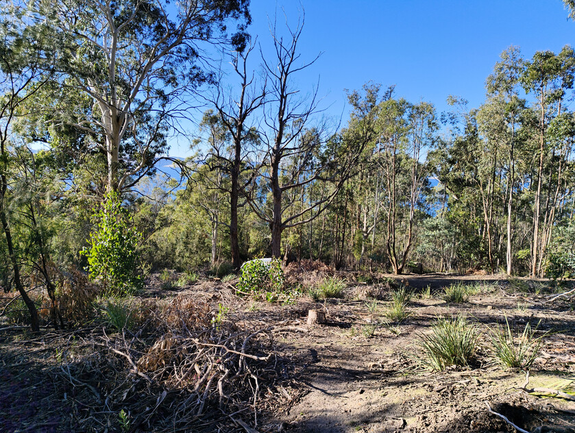 975m² of quiet cul-de-sac privacy with Derwent River views in Taroona