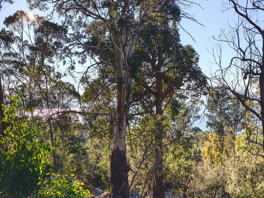 975m² of quiet cul-de-sac privacy with Derwent River views in Taroona