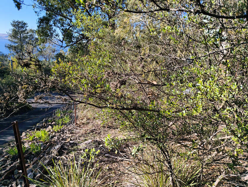 975m² of quiet cul-de-sac privacy with Derwent River views in Taroona