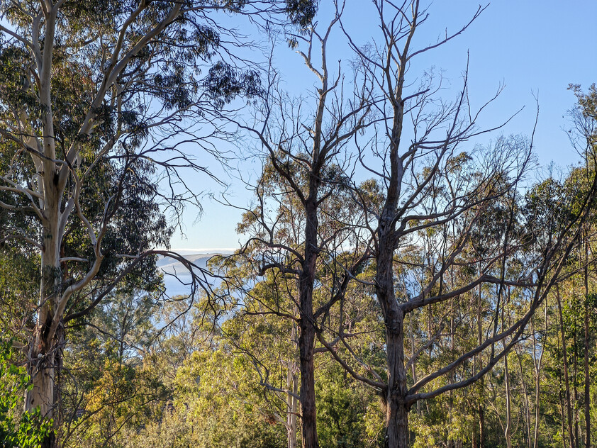 975m² of quiet cul-de-sac privacy with Derwent River views in Taroona