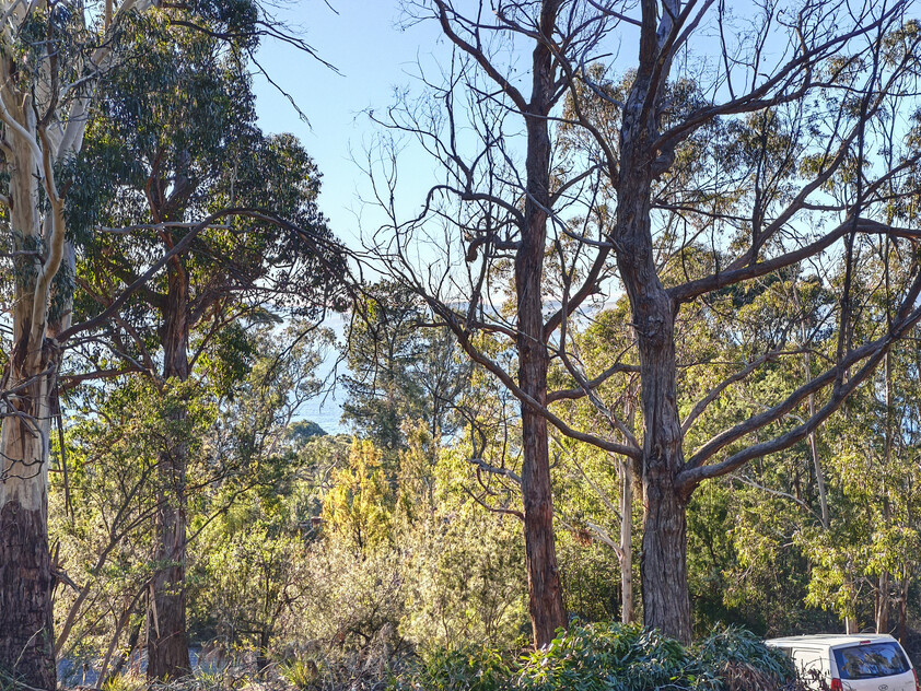 975m² of quiet cul-de-sac privacy with Derwent River views in Taroona