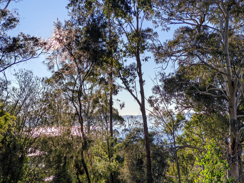 975m² of quiet cul-de-sac privacy with Derwent River views in Taroona