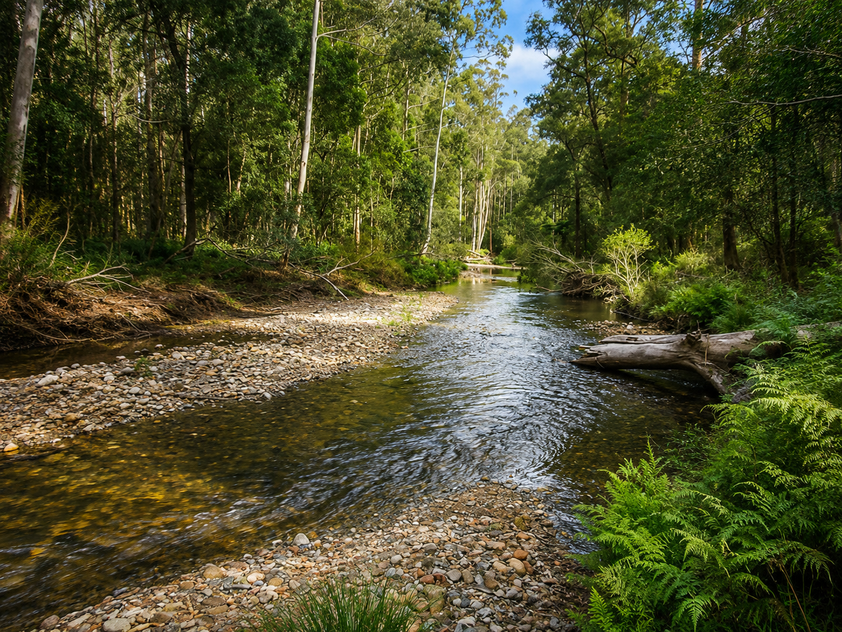 20.9ha Riverfront Farm with Quality Infrastructure & Livestock