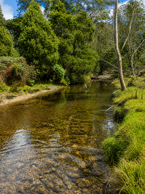 20.9ha Riverfront Farm with Quality Infrastructure & Livestock