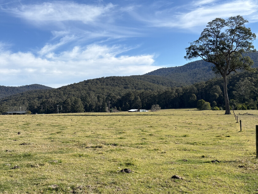 20.9ha Riverfront Farm with Quality Infrastructure & Livestock