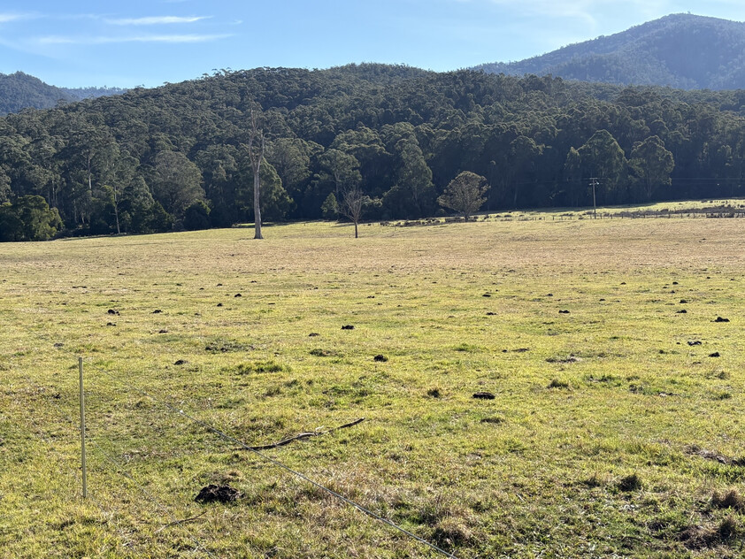 20.9ha Riverfront Farm with Quality Infrastructure & Livestock