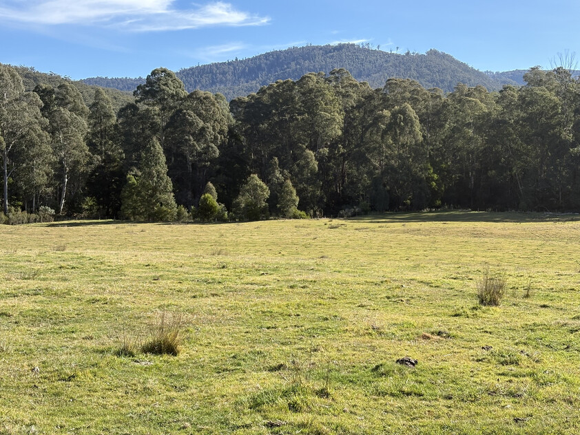 20.9ha Riverfront Farm with Quality Infrastructure & Livestock