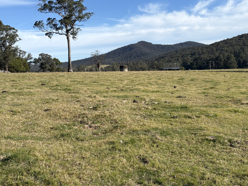 20.9ha Riverfront Farm with Quality Infrastructure & Livestock
