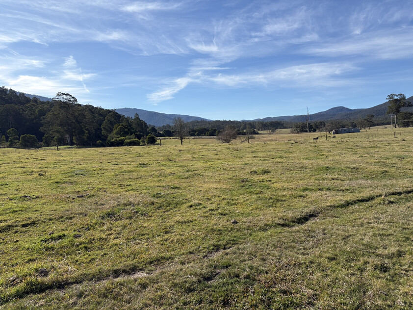 20.9ha Riverfront Farm with Quality Infrastructure & Livestock